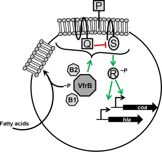 FIG 8