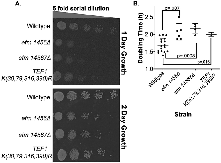 Figure 3: