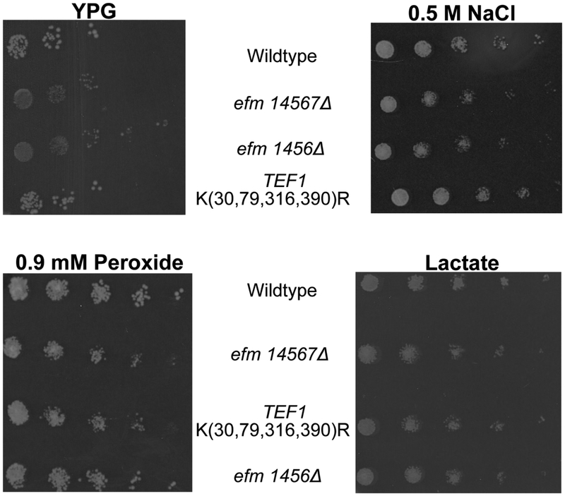 Figure 4: