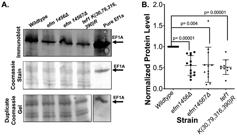 Figure 7: