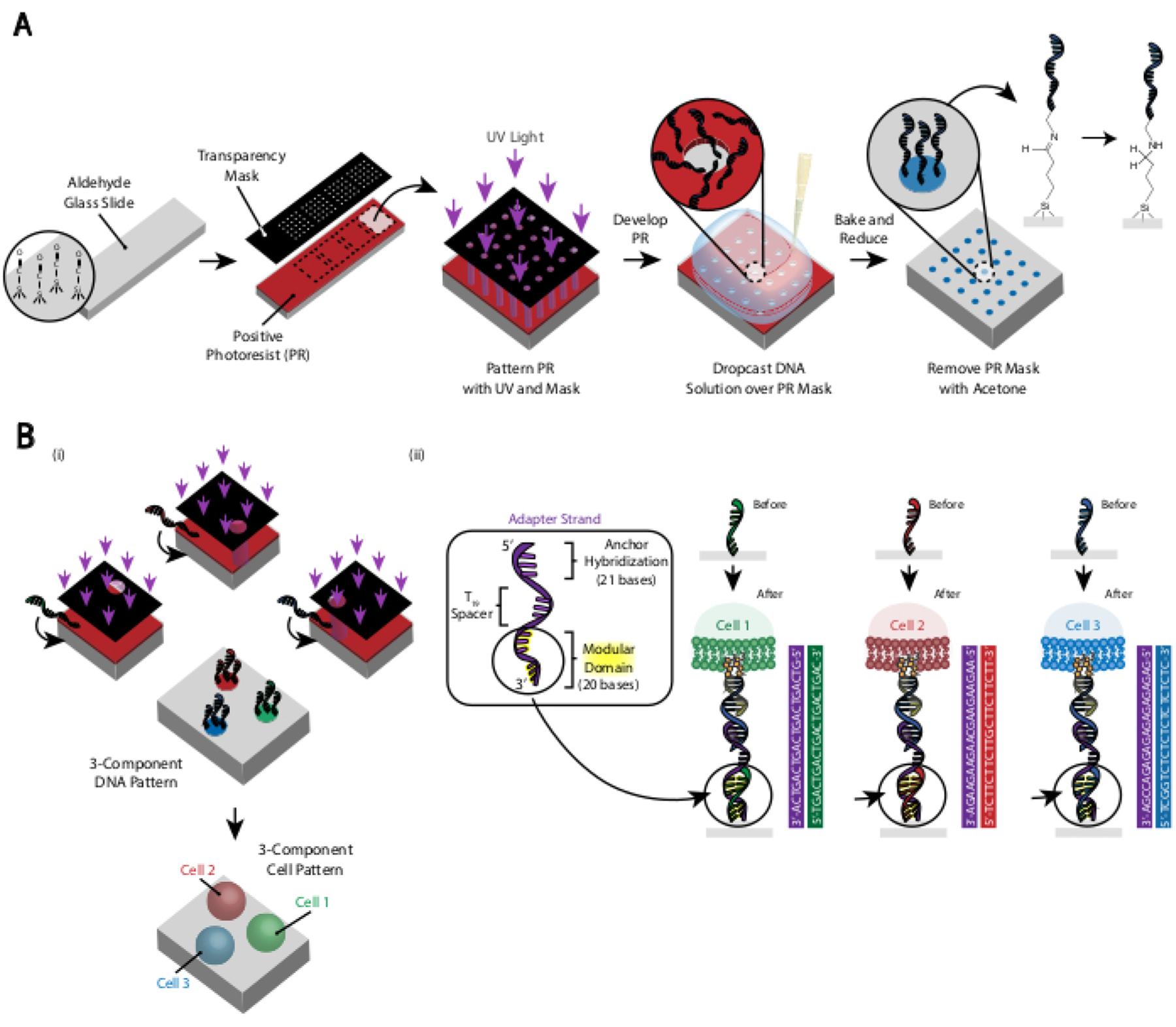 Figure 3: