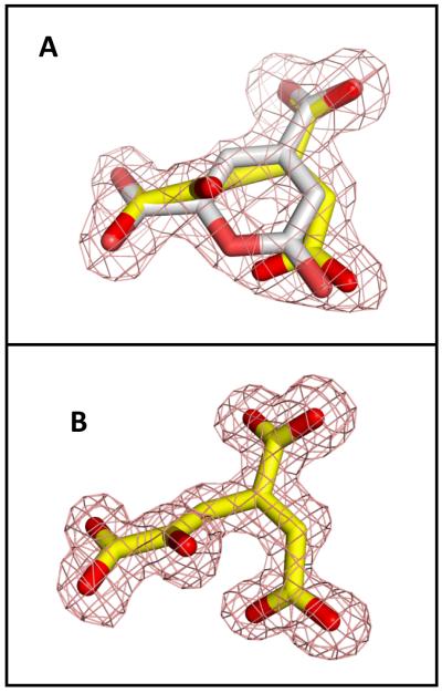 Figure 7