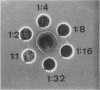 132