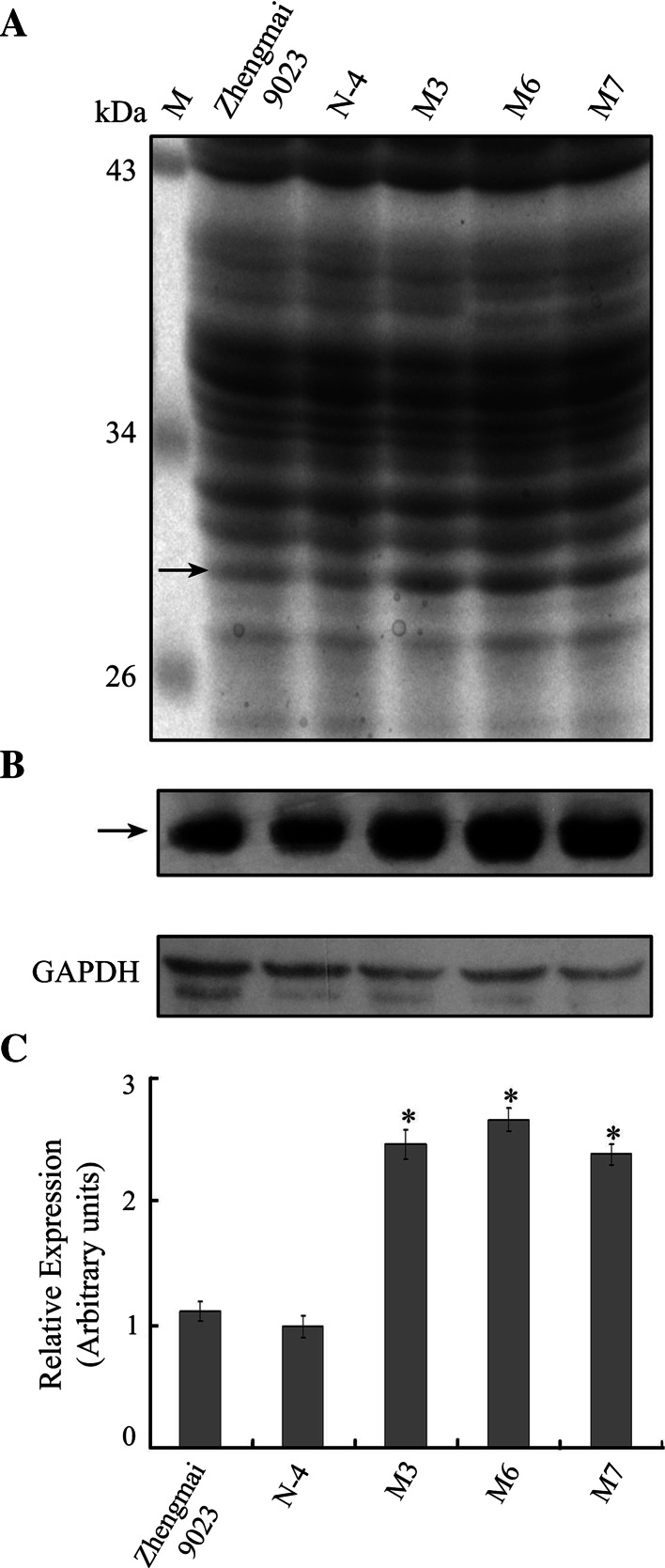 Fig. 2