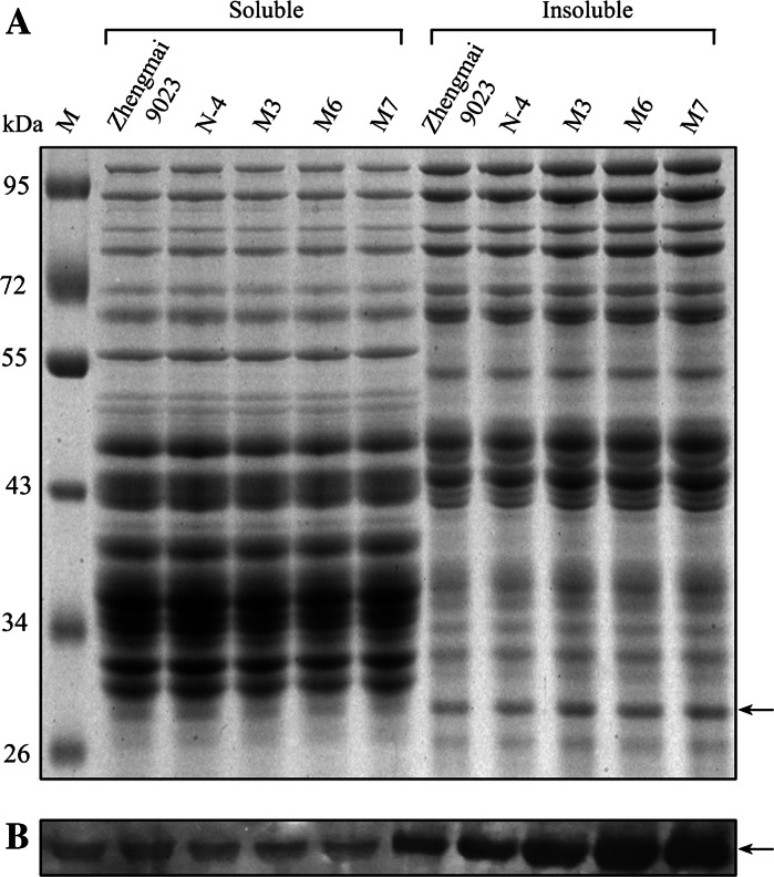 Fig. 4