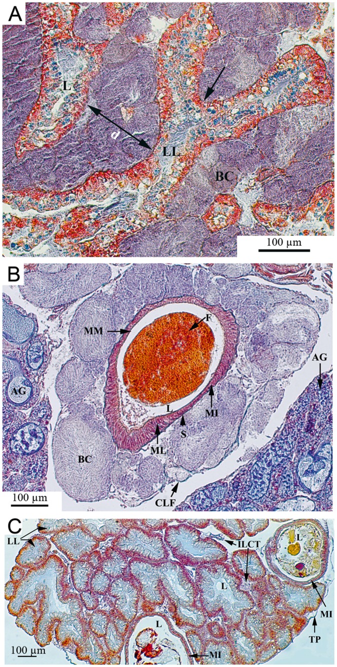 Fig 3