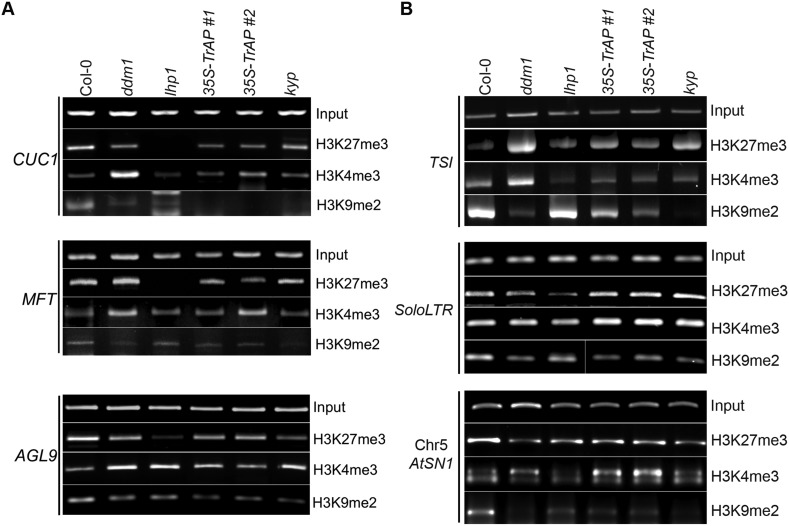 Figure 6—figure supplement 2.