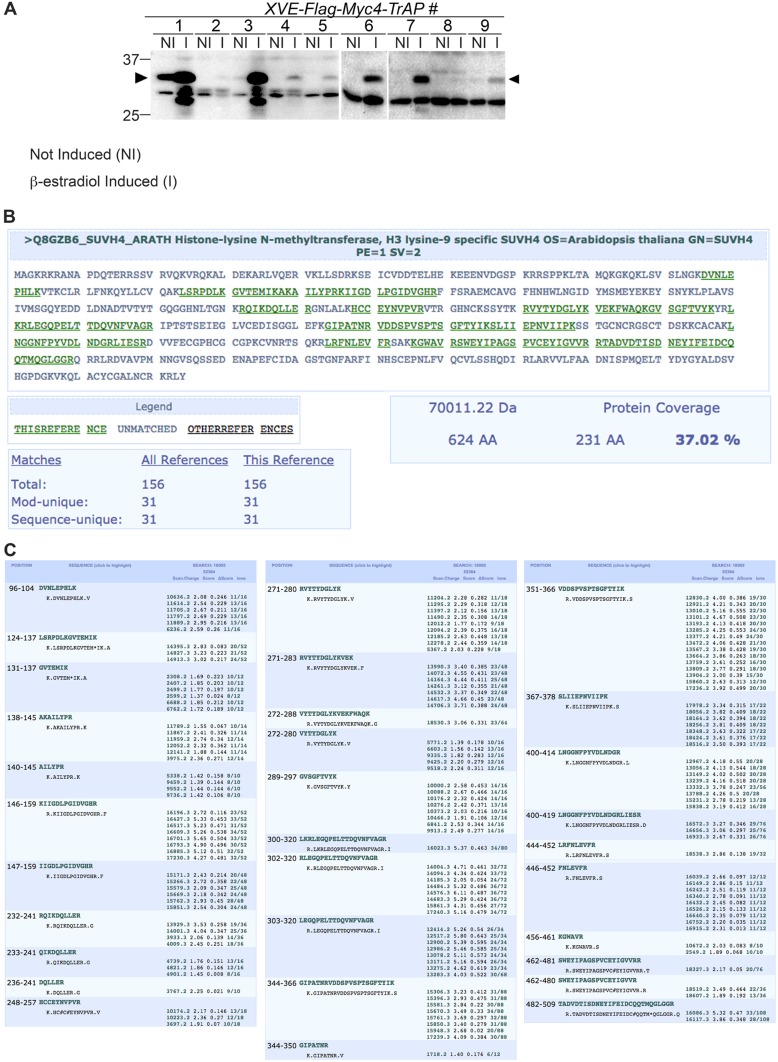 Figure 3—figure supplement 1.