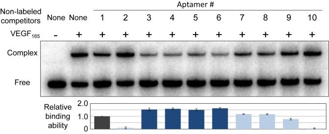 Figure 2.