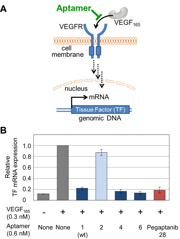 Figure 6.