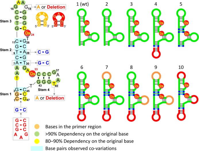 Figure 1.