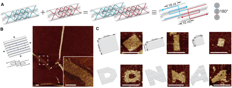 Figure 1.