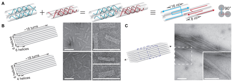 Figure 3.