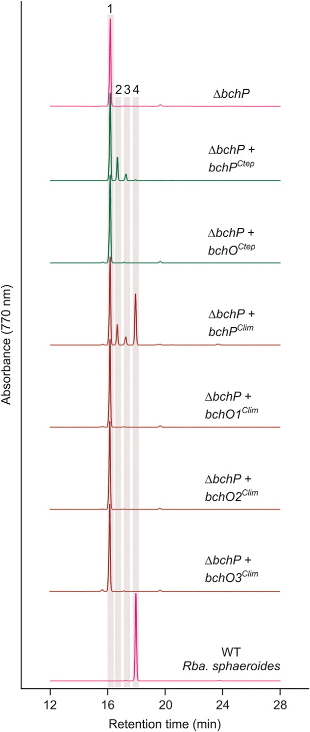 Figure 4.