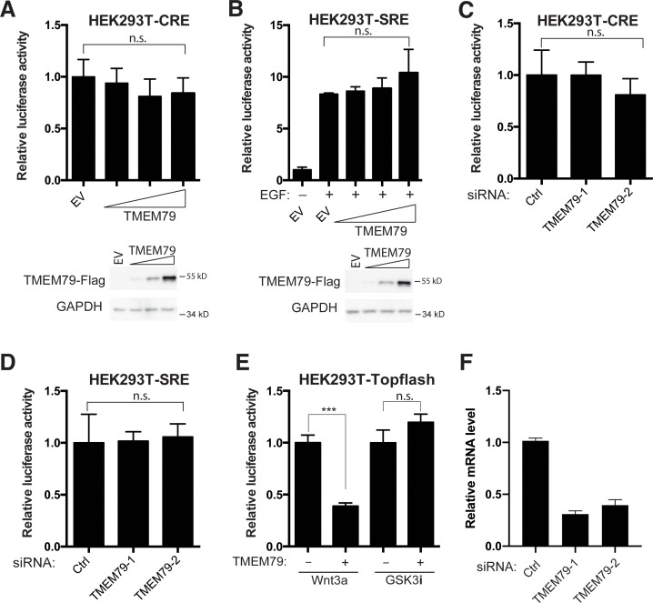 Figure 2—figure supplement 1.