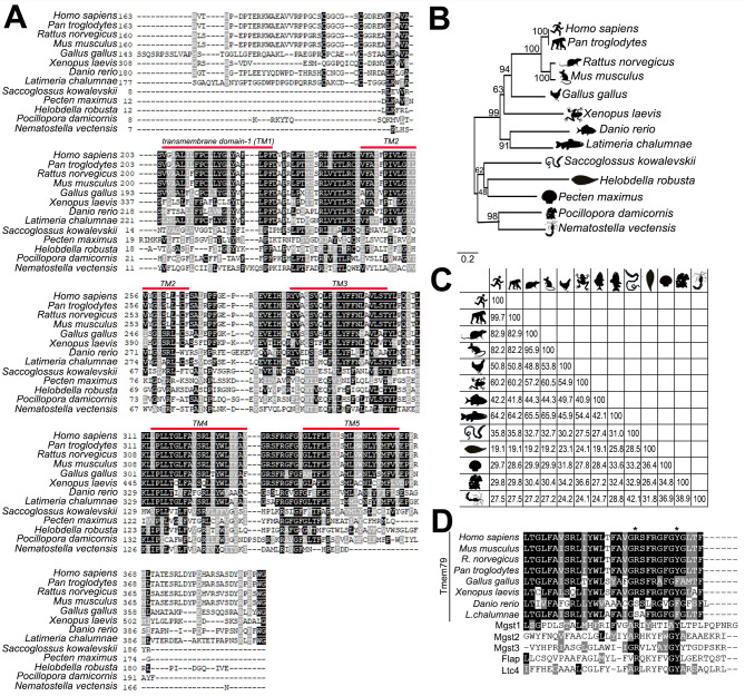 Figure 1—figure supplement 1.