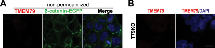 Figure 4—figure supplement 1.