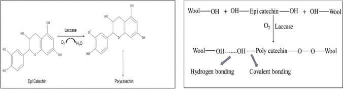 Fig. 13