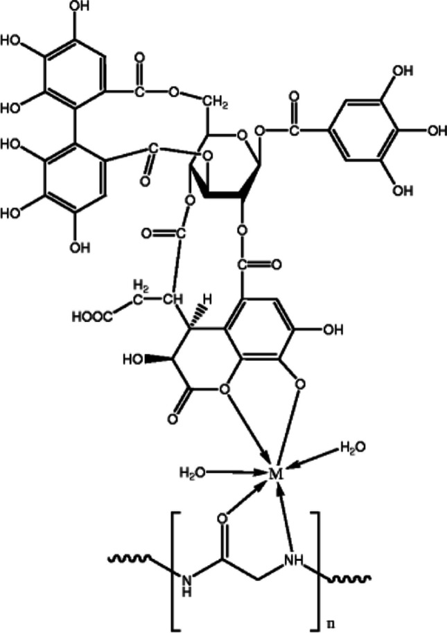 Fig. 5