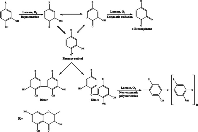 Fig. 12