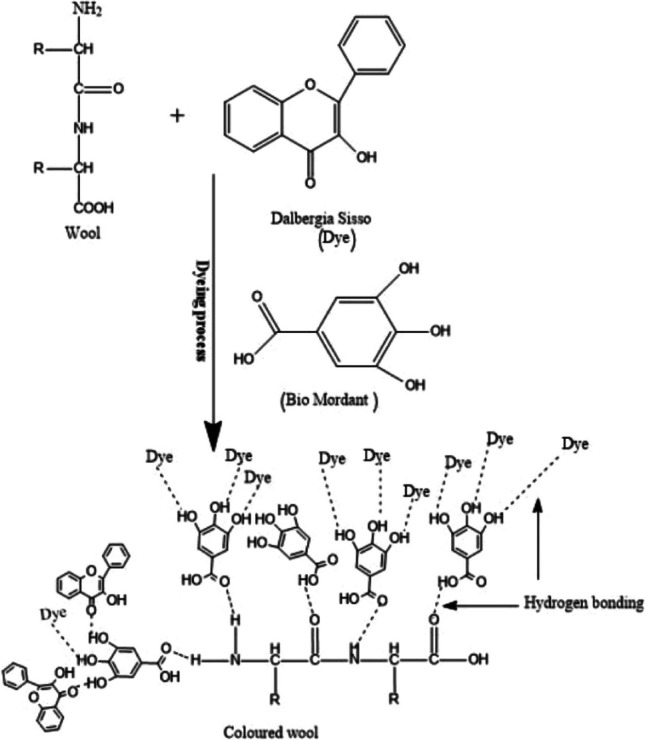 Fig. 1