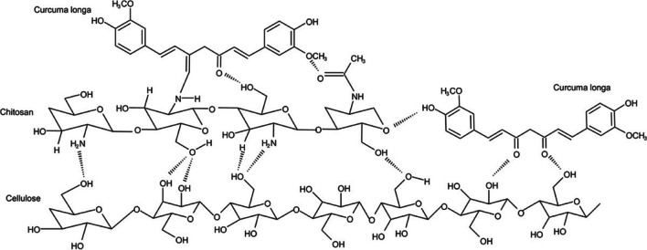 Fig. 9