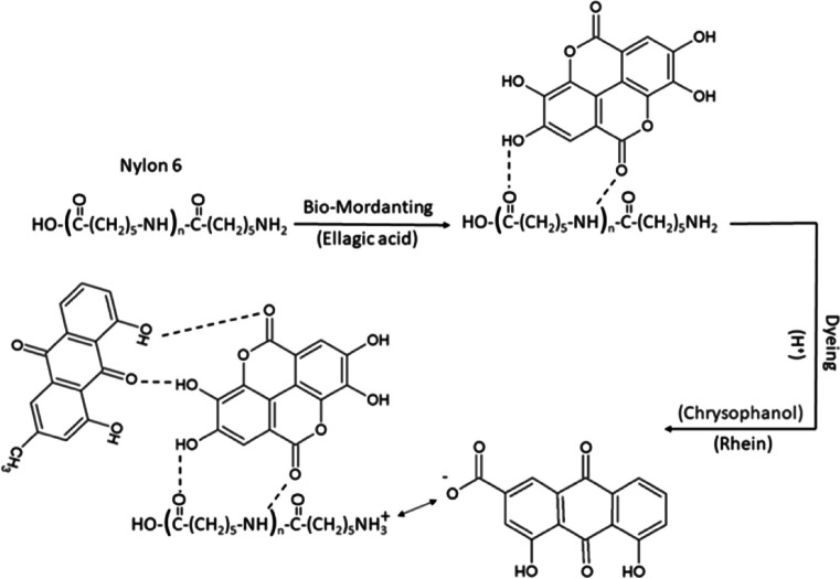 Fig. 4