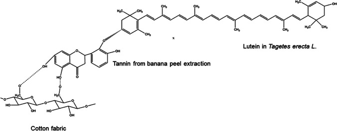 Fig. 2