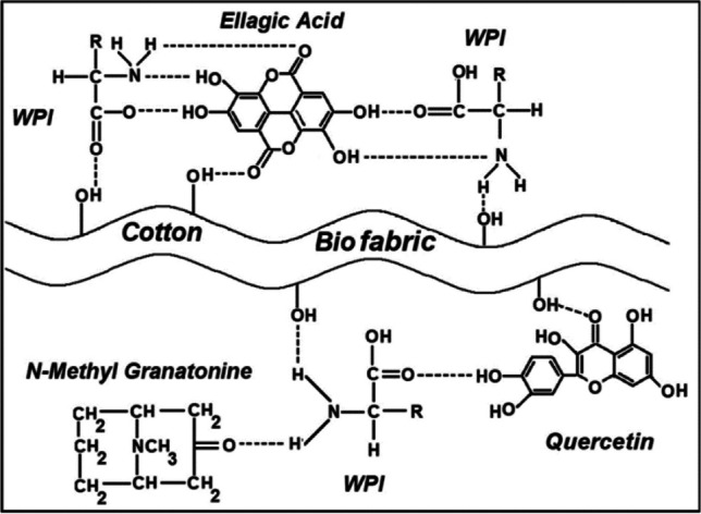 Fig. 11