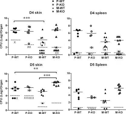 FIG. 10.