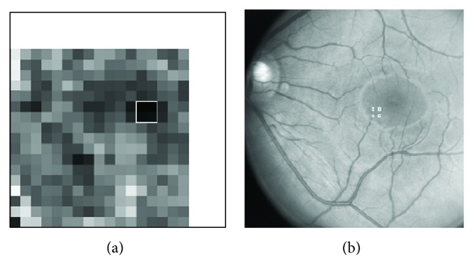 Figure 12