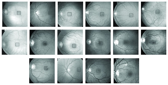 Figure 13