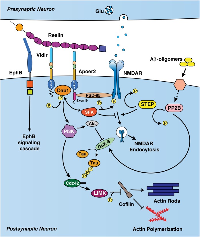 Fig. 2.