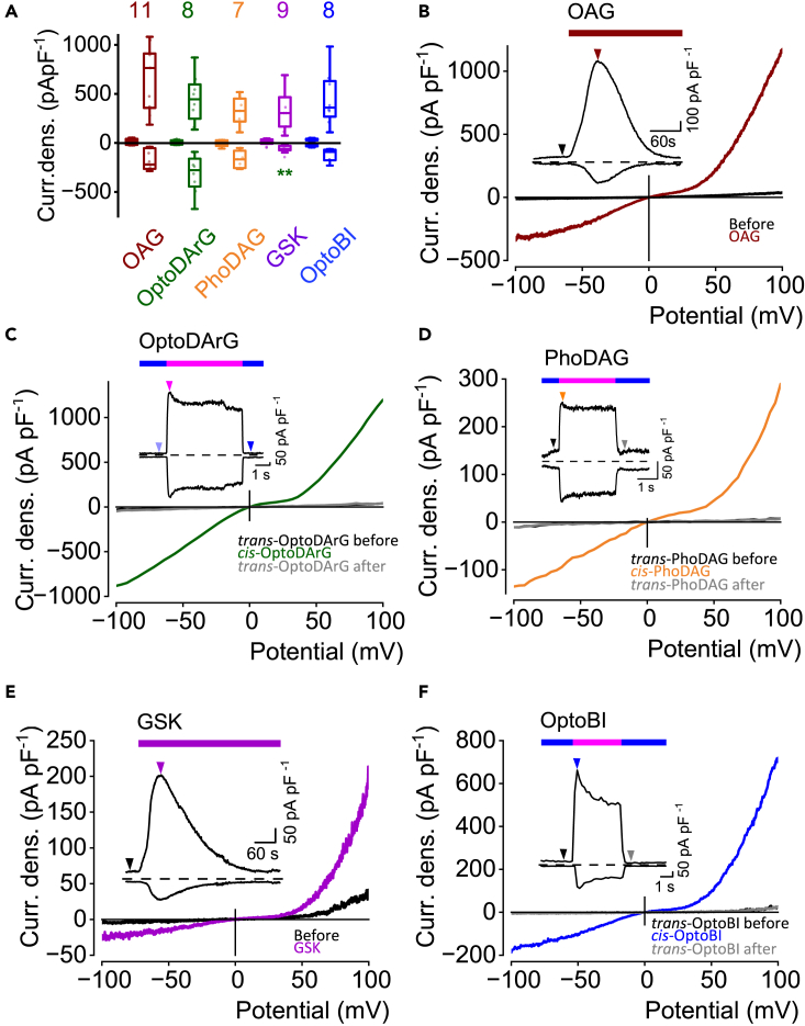 Figure 3