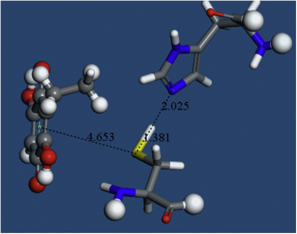 Fig. 8