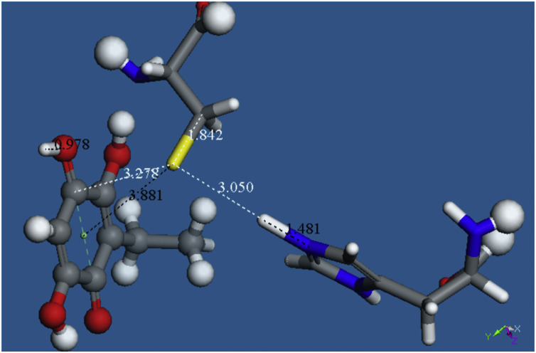 Fig. 10