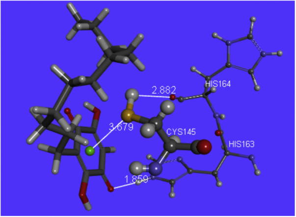 Fig. 6