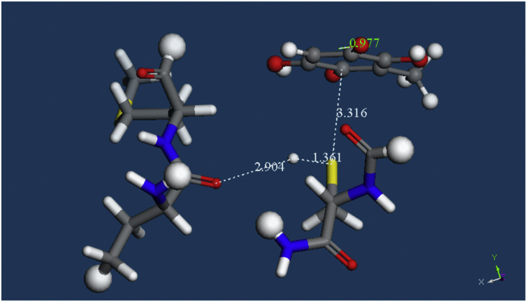 Fig. 12