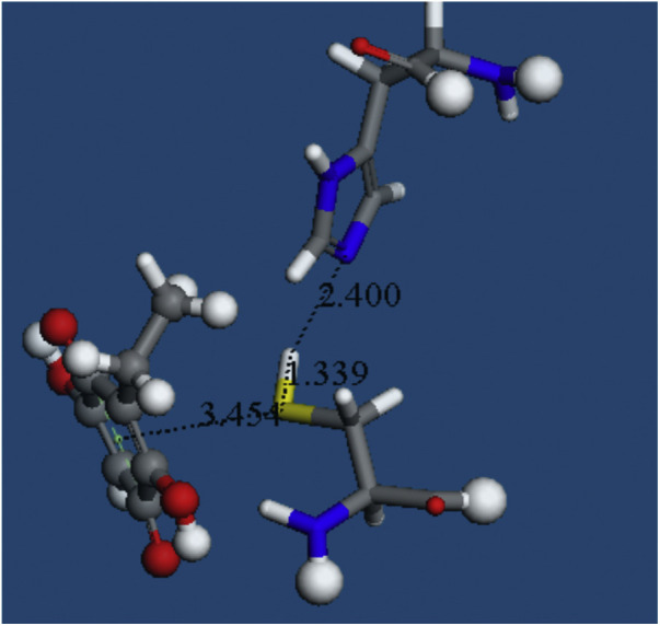 Fig. 7