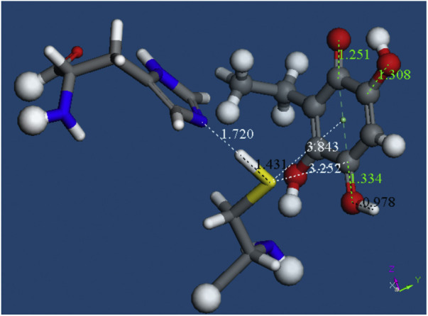 Fig. 9