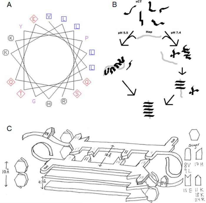 FIGURE 10.