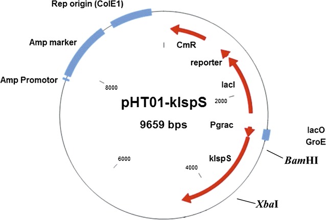 Fig. 2