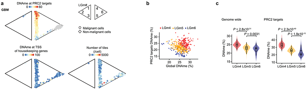 Extended Data Fig. 6 |