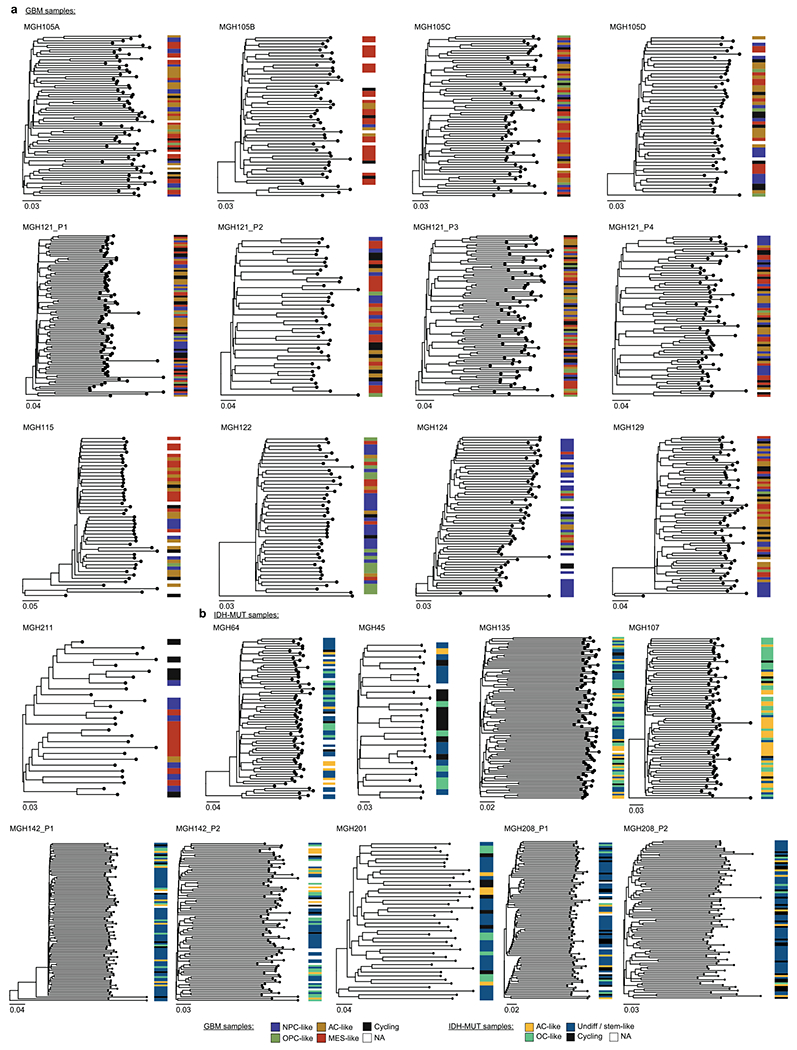 Extended Data Fig. 9 |