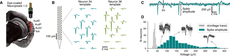 Figure 1: