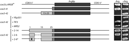 FIGURE 7.