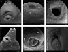 FIG. 5.