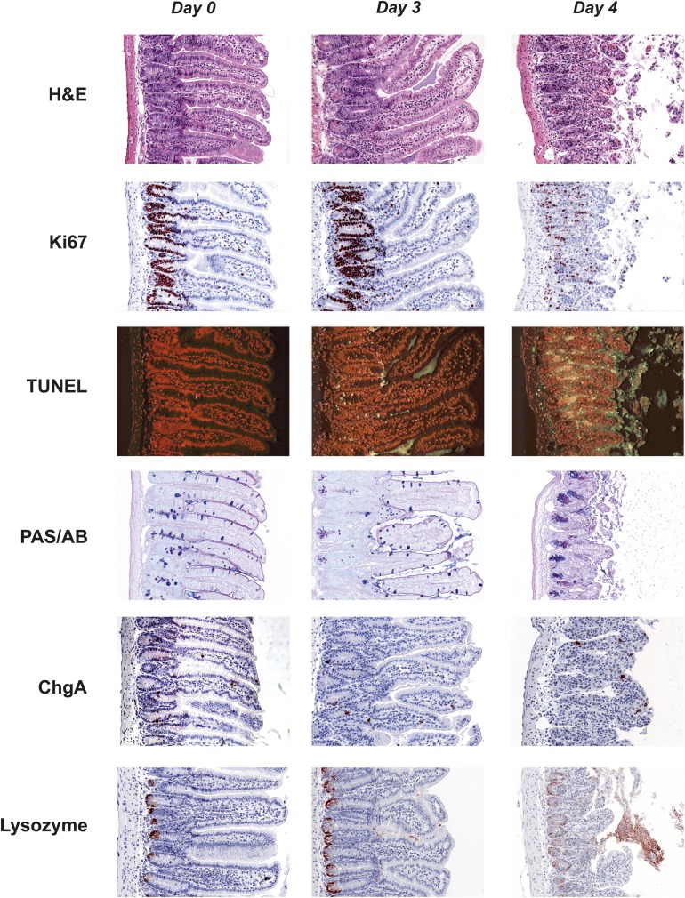 Fig. 3.