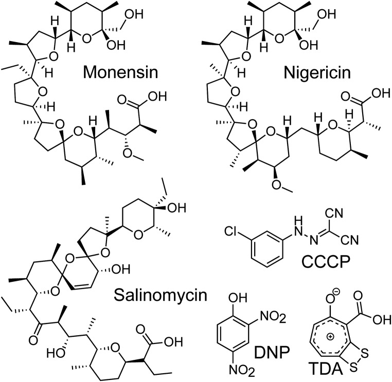 Fig. 4.