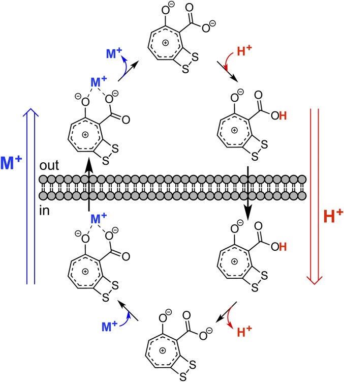 Fig. 6.